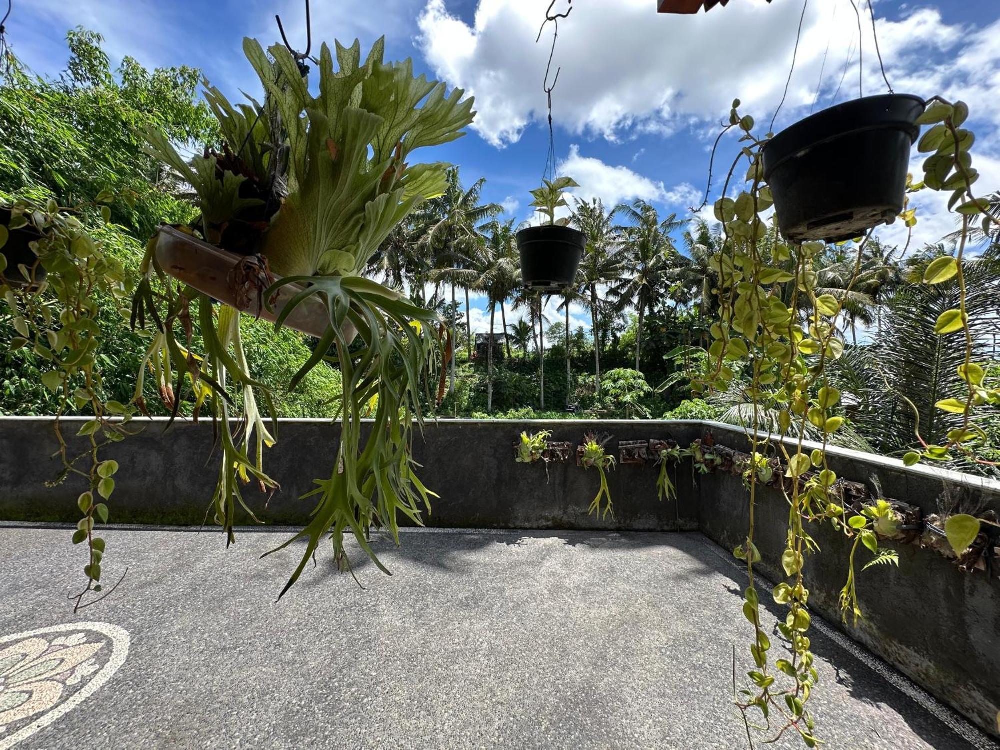 Tagel Karsa House Hotell Ubud Eksteriør bilde