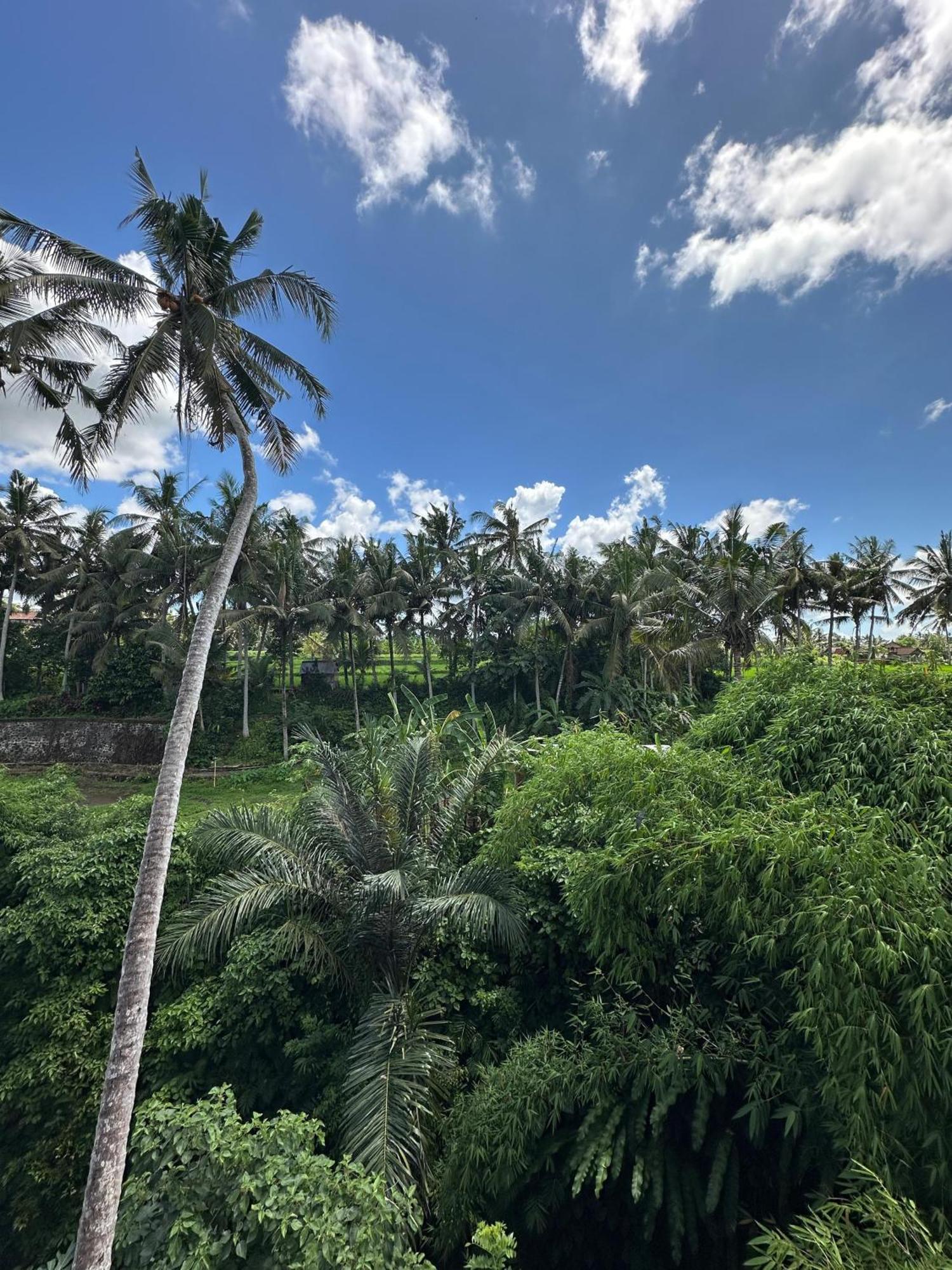 Tagel Karsa House Hotell Ubud Eksteriør bilde